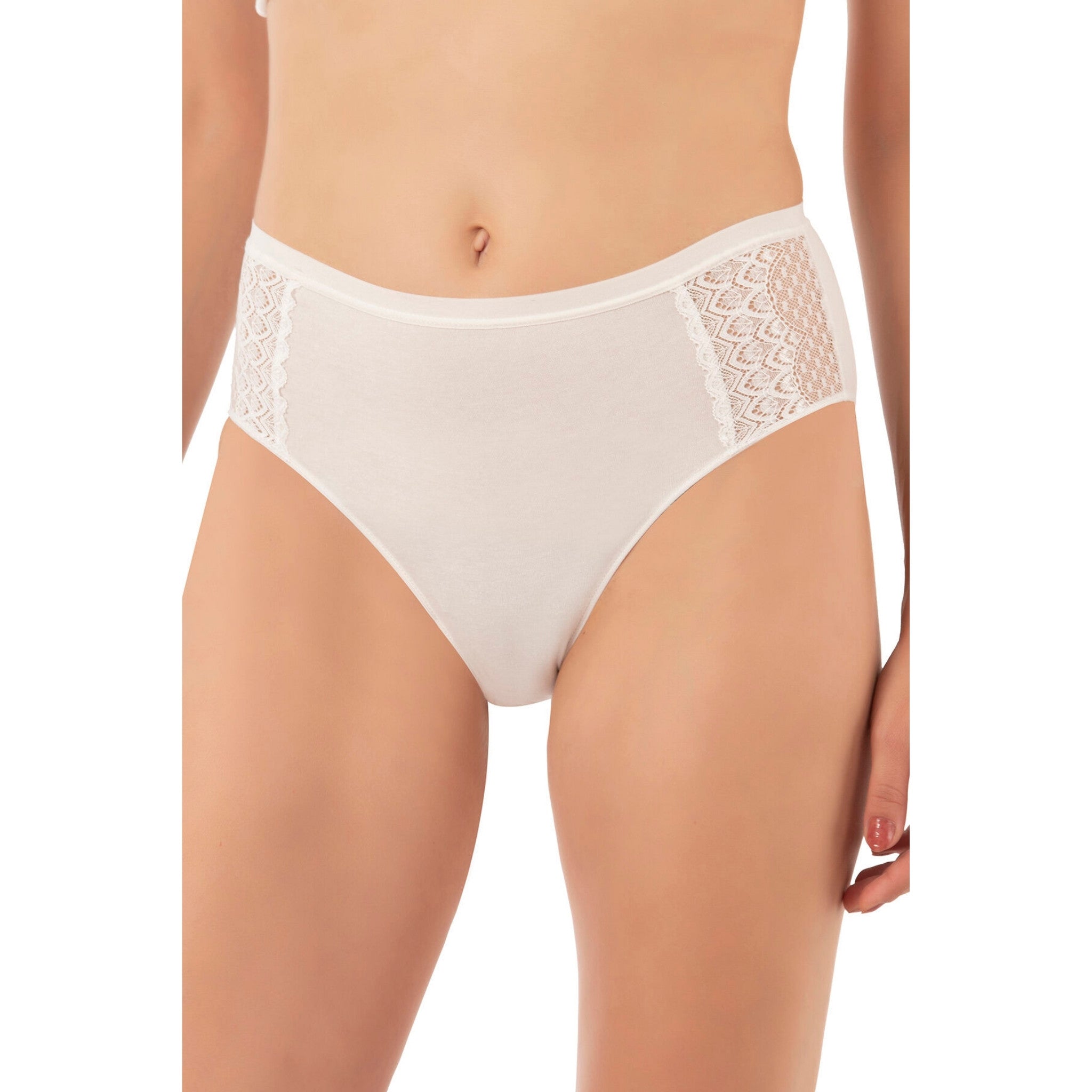 3-Pack Women’s Cotton Modal High-Leg Briefs – Lace Side Panel Underwear Set - Hazel Textile