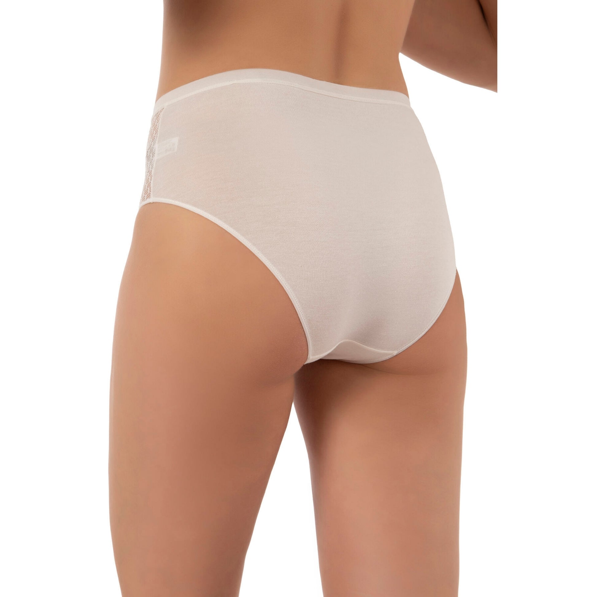 3-Pack Women’s Cotton Modal High-Leg Briefs – Lace Side Panel Underwear Set - Hazel Textile
