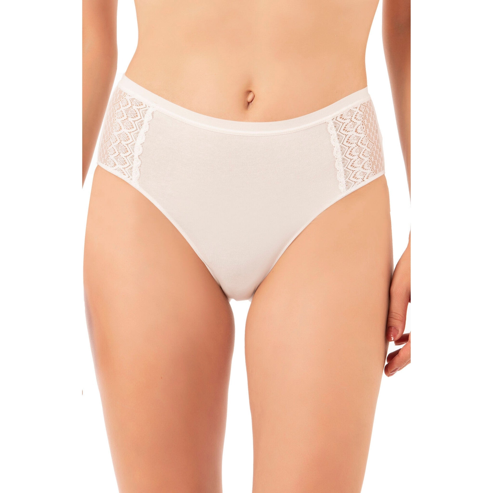 3-Pack Women’s Cotton Modal High-Leg Briefs – Lace Side Panel Underwear Set - Hazel Textile